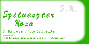 szilveszter moso business card